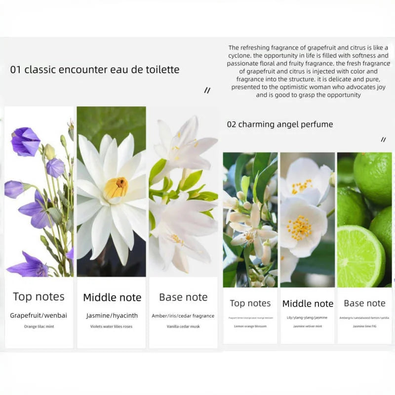 Classic Women's Perfume Set – Elegant Luxury Fragrance Gift Box for Women - Image 4